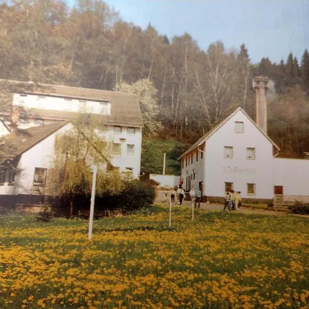 Walkmühle Hotel Eisenberg (Thuringia)
