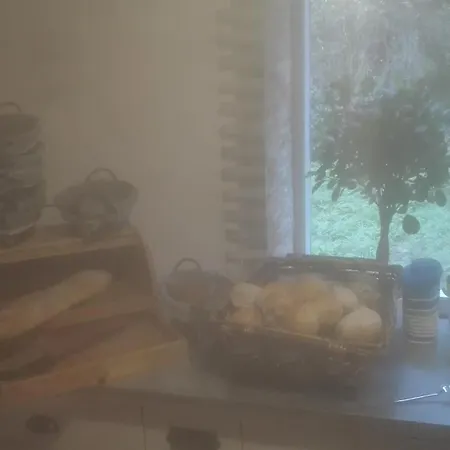 Walkmuehle * Eisenberg (Thuringia)