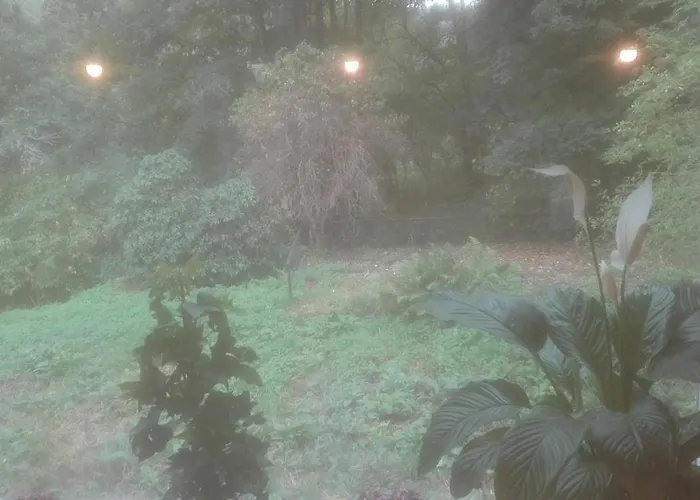 Walkmuehle * Eisenberg (Thuringia)